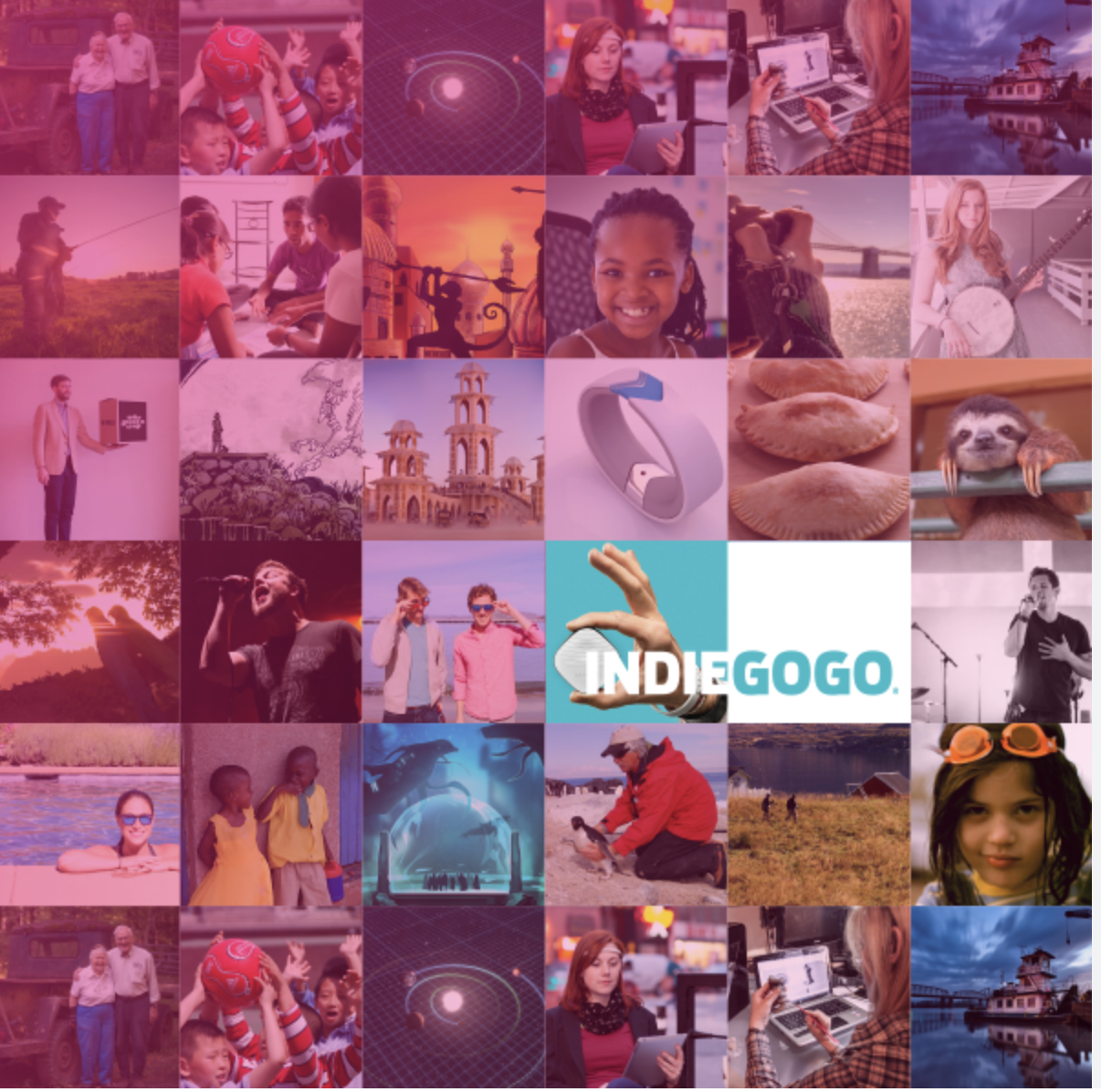 Indiegogo crowdfunding platform showcasing various campaigns and creators